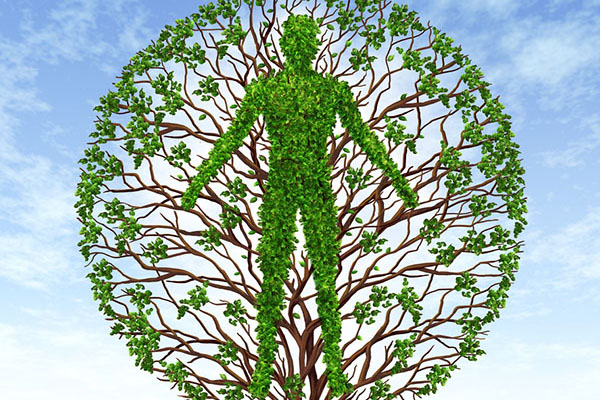 Holistic learning for a lifetime of growth